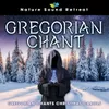 Gregorian Winter Meditation with 432Hz Healing Frequency (Loopable)