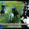 Toros el Fin de Semana