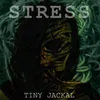 About Stress Song