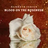 Blood on the Rosebush