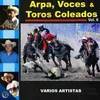 Vivan los Toros Coleados