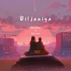 About Diljaniya (RVCJ Wrong Number Soundtrack) LoFi Mix Song