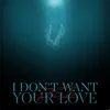 About I Don't Want Your Love Song
