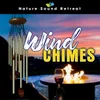 Zen Wind Chimes in the Bamboo Forest Ambience - Water Fountain & Asian Flute Music (Loopable)