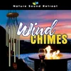 Wind Chimes & Wine - An Evening on the Deck By the Firepit Ambience