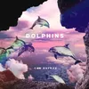 About Dolphins Song