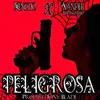 About Peligrosa Song