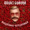 ВИШЕНЬКА-ЧЕРЕШЕНЬКА