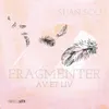 About Fragmenter av et liv Song