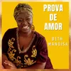 About Prova de Amor Song