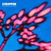 About Stripper Song