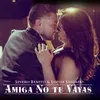 About Amiga No Te Vayas Song
