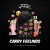Carry Feelings Radio Edit