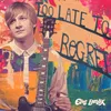 About Too Late to Regret Song