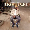 About Akowonjo Song