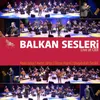 Bir Garipsin Şu Dünyada