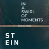About In a Swirl of Moments Radio edit Song