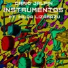 About Instrumentos Song