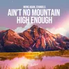 About Ain't No Mountain High Enough Song