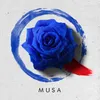 About MUSA Song