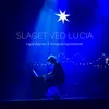 About Slaget ved Lucia Song