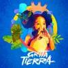 About Grita Tierra Song