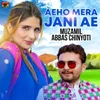 About Aeho Mera Jani Ae Song