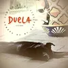 About Duela (Sombra de Mi Vida) Song