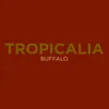 About Tropicalia Song