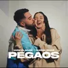 About Pegaos Song