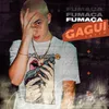 About Fumaça Song