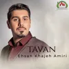 Tavan