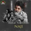 About Naji Song