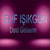 About Dost Gelsene Song