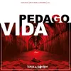 About Pedagovida Song