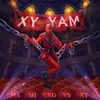 About XY YAM Song