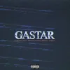About Gastar Song