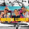 About Mare e lumea Song