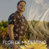 About Flor de Mi Destino Song