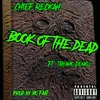 About Book of the Dead Song