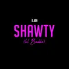 About Shawty (Lil Baddie) Song