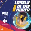 About Lonely in the North Song