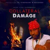 About Collateral Damage Song