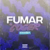 About Fumar & Coger Song