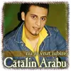 Tu nu ai vrut iubire Romanian & Arabic Version