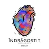 About Indragostit (desi n-am vrut) Song