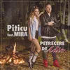 About Petrecere de adio Song