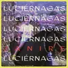 About Luciérnagas Song