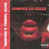 About Conoce la Calle Song