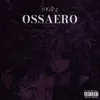 OSSAERO Intro